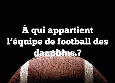 À qui appartient l’équipe de football des dauphins ?